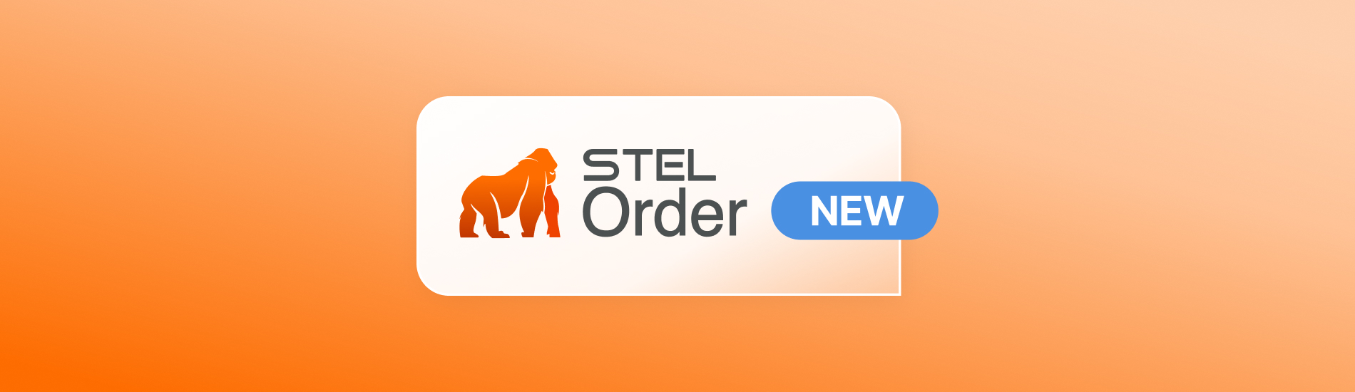 Nueva versión STEL Order 3.17.7
